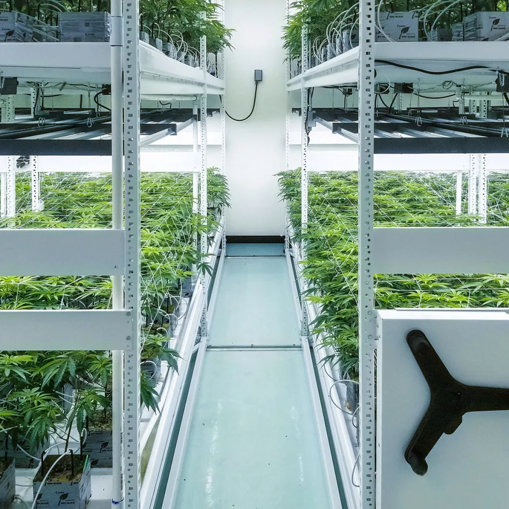 SunPlus Rolling Multi-tiers: Elevated Growth Solutions